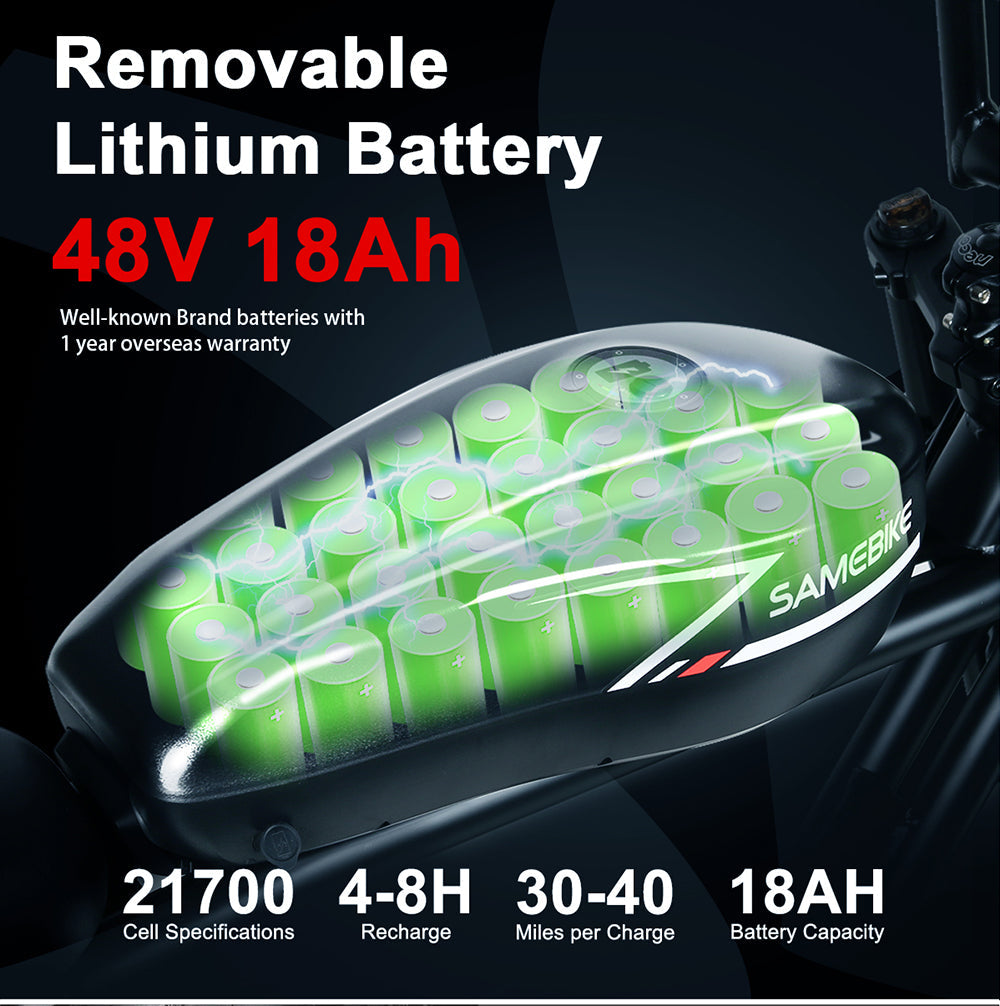 M20 100+Nm Retro Electric Bike