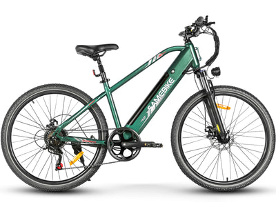RS-A01MEN Urban Electric Bicycle