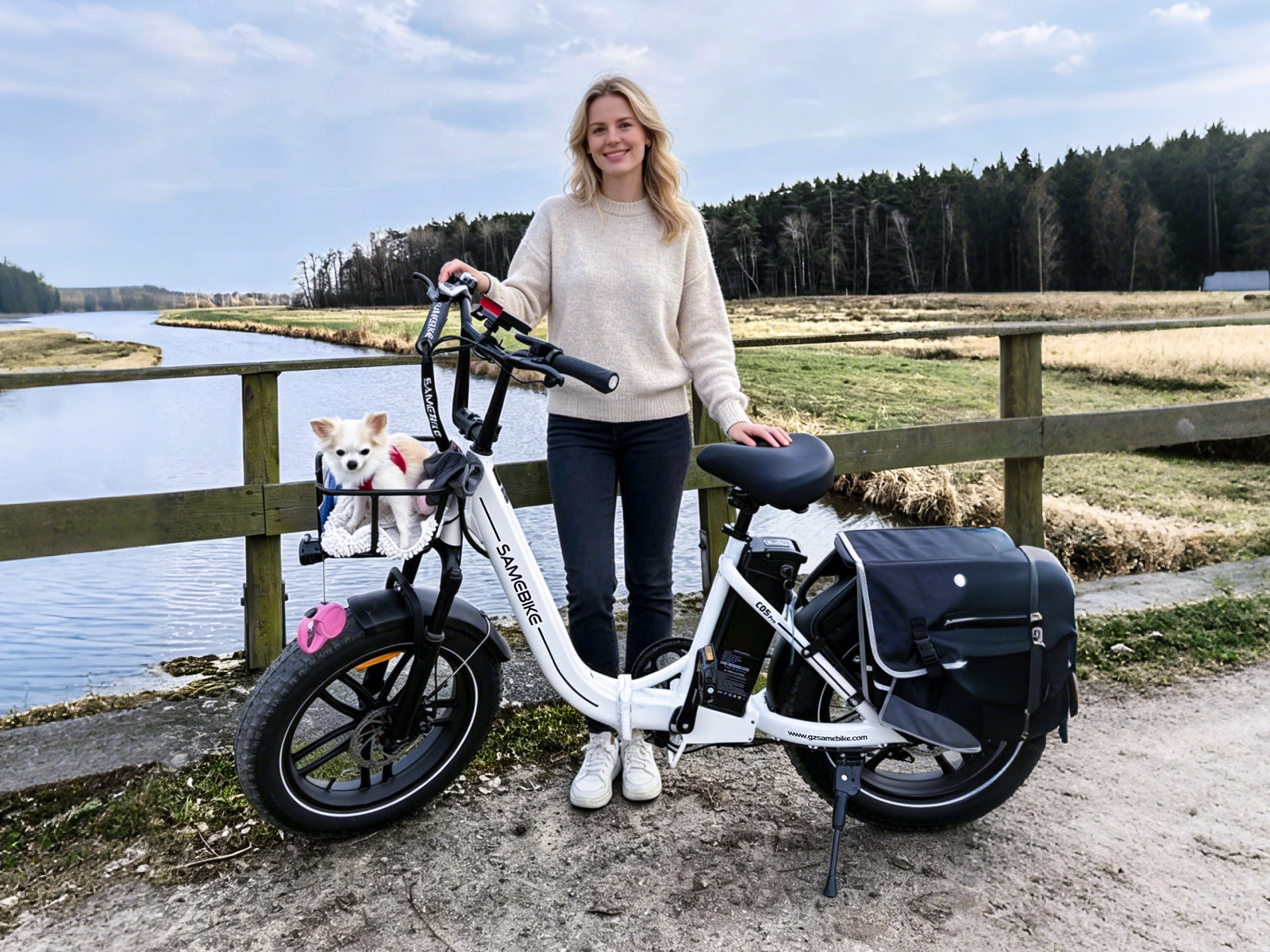 C05 Pro Step-through Foldable Fat Tire Ebike