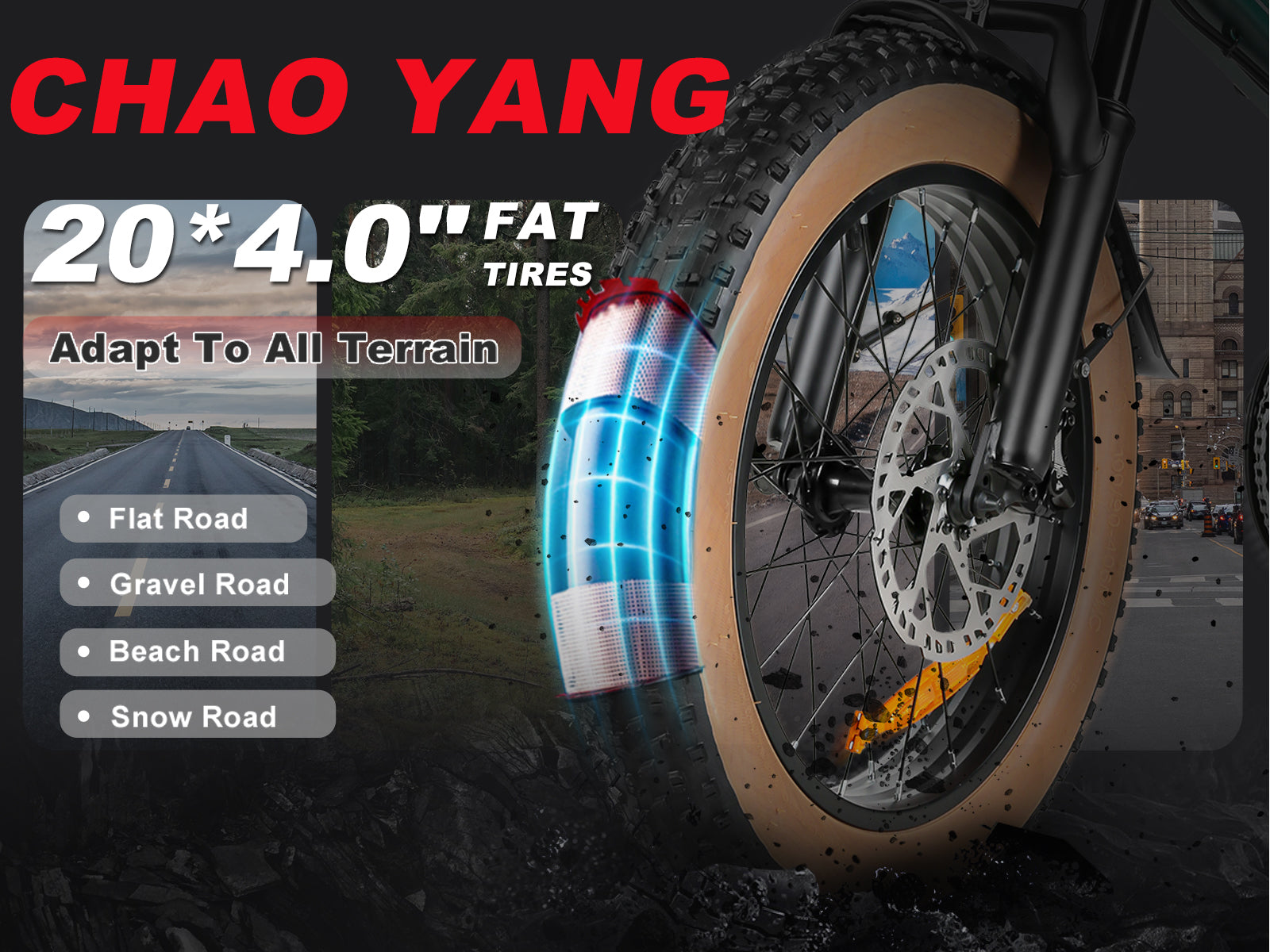 XWLX09-II Fat Tire Mountain Ebike