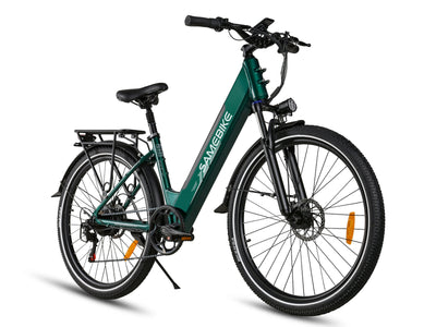 RS-A01 Pro Urban Electric Bicycle