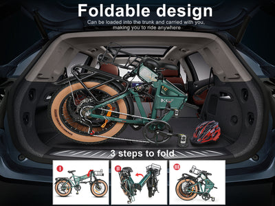 XWLX09-II Fat Tire Mountain Ebike