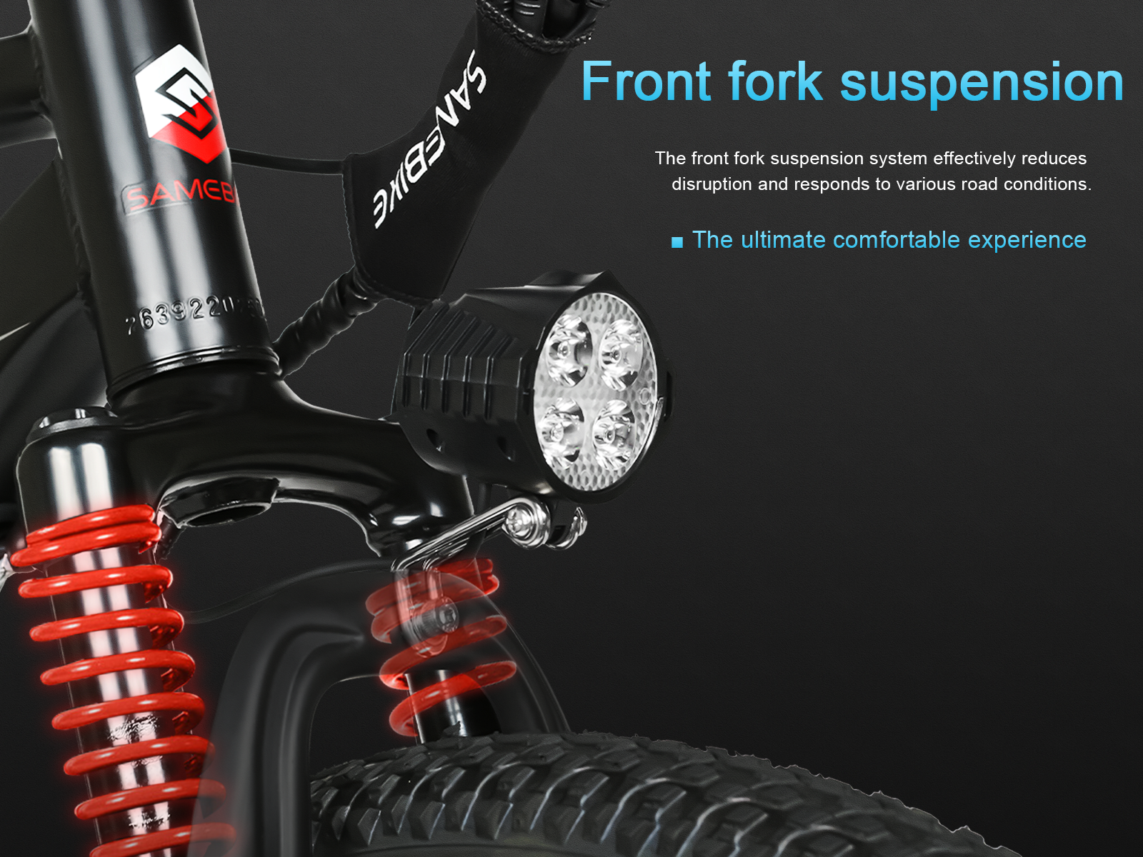 EBE2 Mountain Ebike With Torque-Sensor