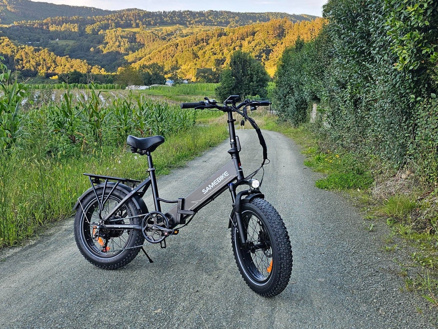 LOTDM200-II 750W Step-through Folding Bike