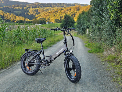 LOTDM200-II 750W Step-through Folding Bike