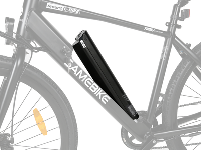 SAMEBIKE Battery