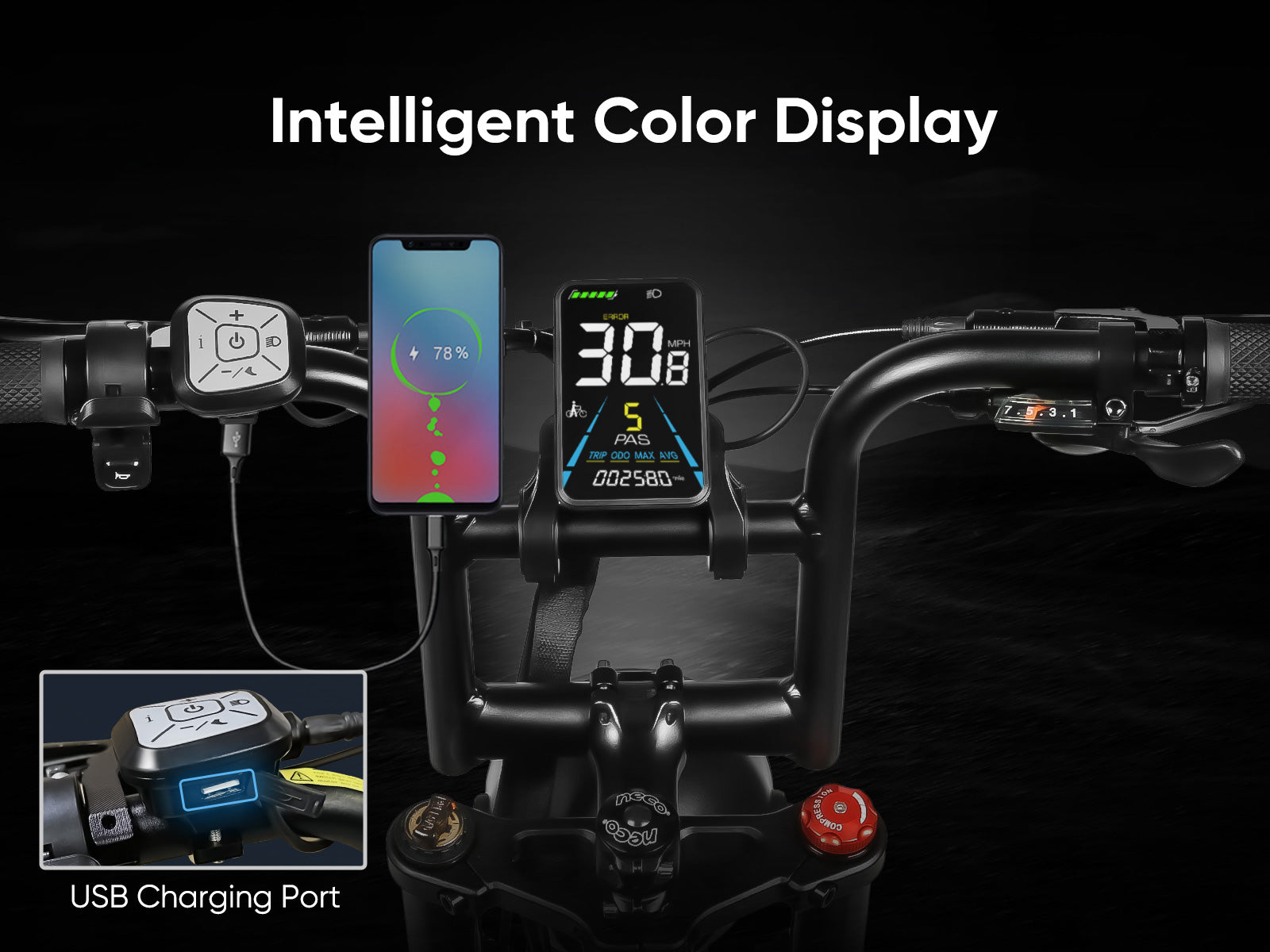 M20 100+Nm Retro Electric Bike