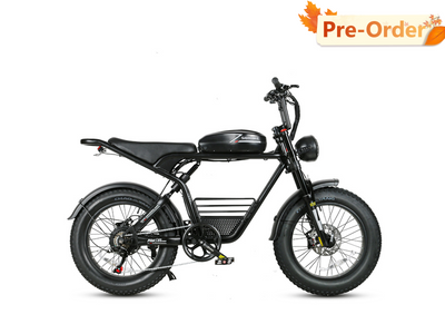 M20-III 2000W Electric Bicycle